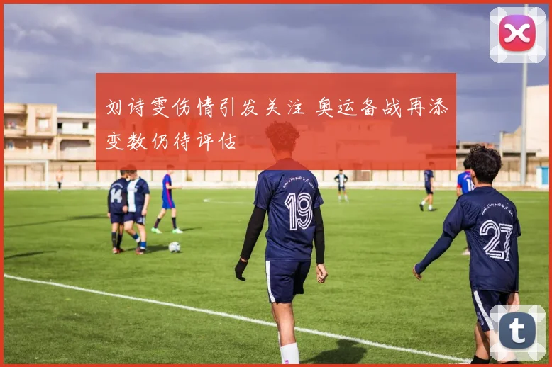 刘诗雯伤情引发关注 奥运备战再添变数仍待评估