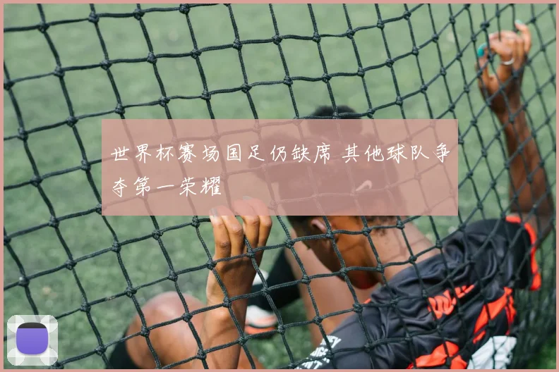 世界杯赛场国足仍缺席 其他球队争夺第一荣耀