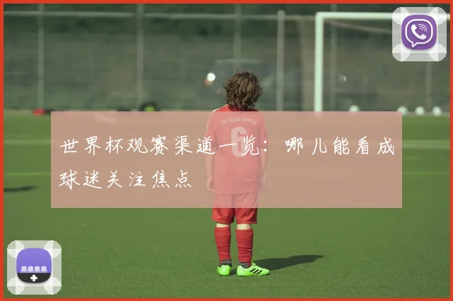 世界杯观赛渠道一览:哪儿能看成球迷关注焦点
