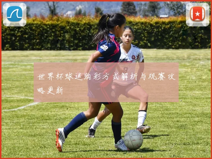 世界杯球迷购彩方式解析与观赛攻略更新